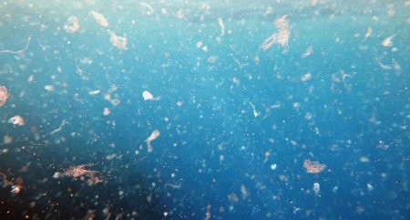 Plastic debris is accumulating far beneath the ocean surface