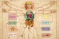 İnsan vücudu hakkında ilginç gerçekler