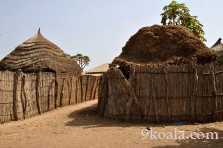 Gambian Traditional Handmade Houses