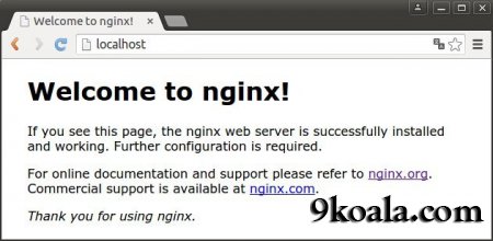 Kendi ev ağınızda web sunucusu kurma!