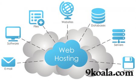 En iyi ucuz ve kaliteli hosting firmaları