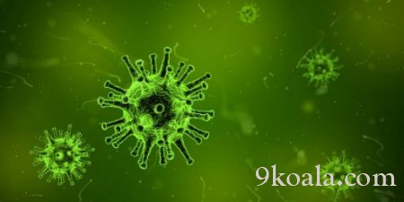 Virüsler hakkında bilgi