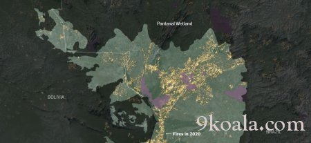 Dünyanın En Büyük Tropikal Sulak Alanı Cehenneme Dönüştü