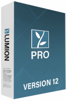Lumion 12 pro Multilingual Download Free + Key activation